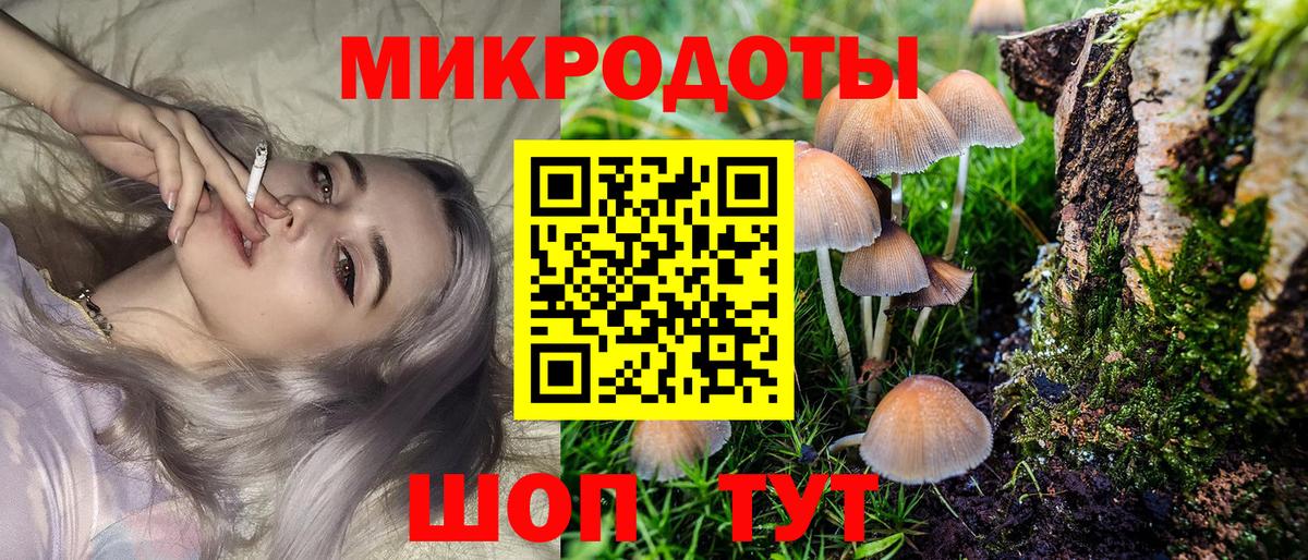 Псилоцибиновые грибы Psilocybine cubensis Джанкой