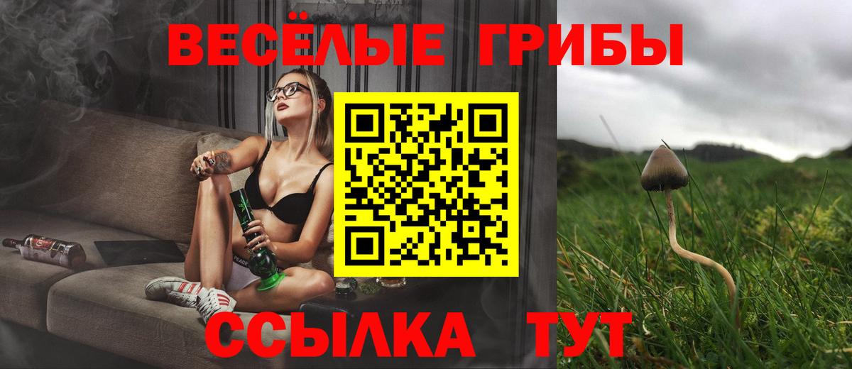 Галлюциногенные грибы мицелий  дарнет шоп  Джанкой  Вход с VPN 